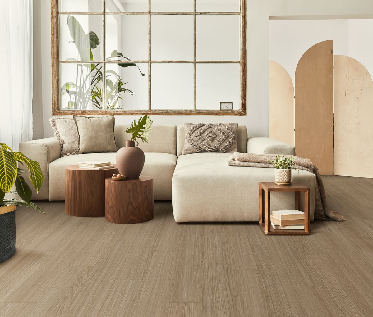 Rejuvenate Collection