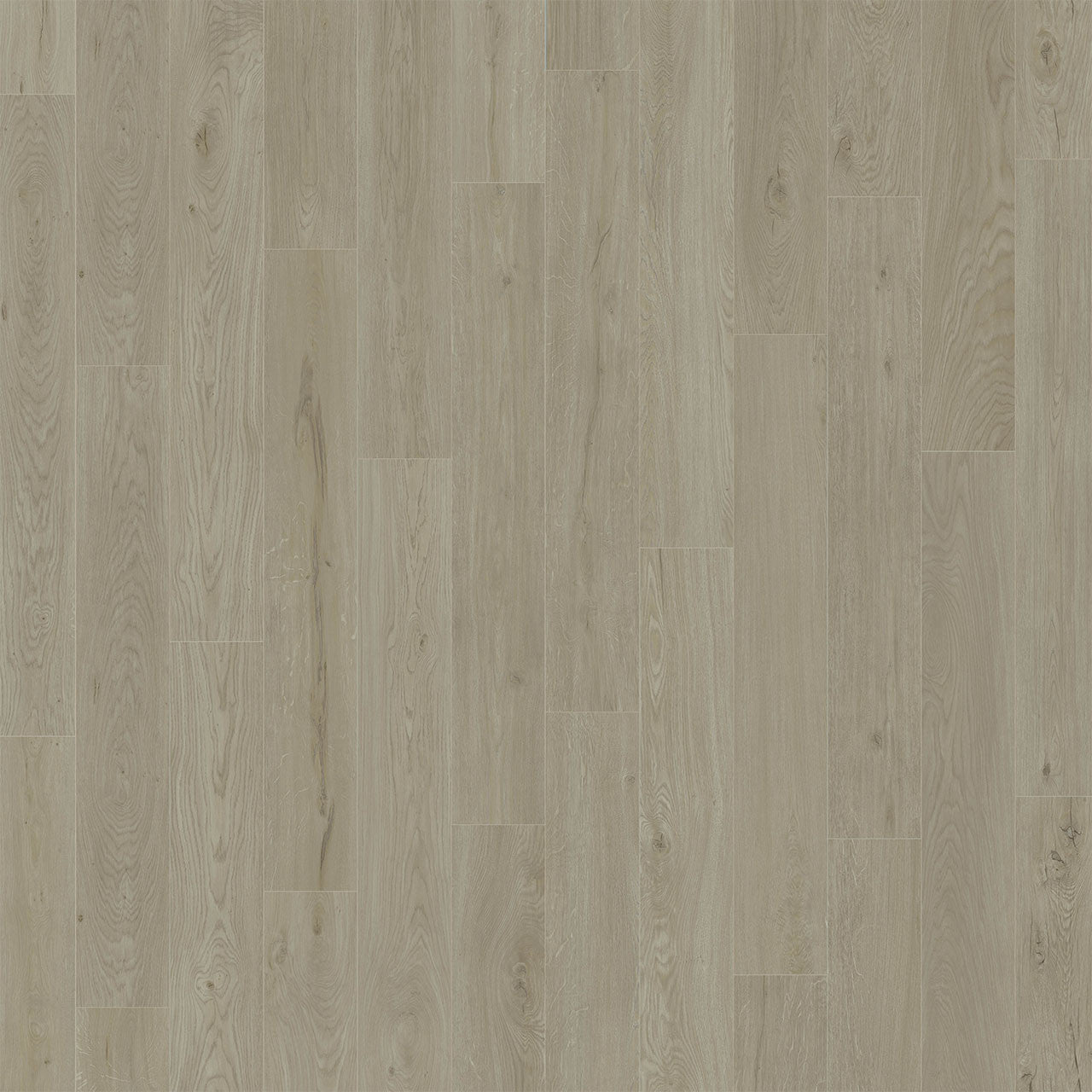 American Standard Collection