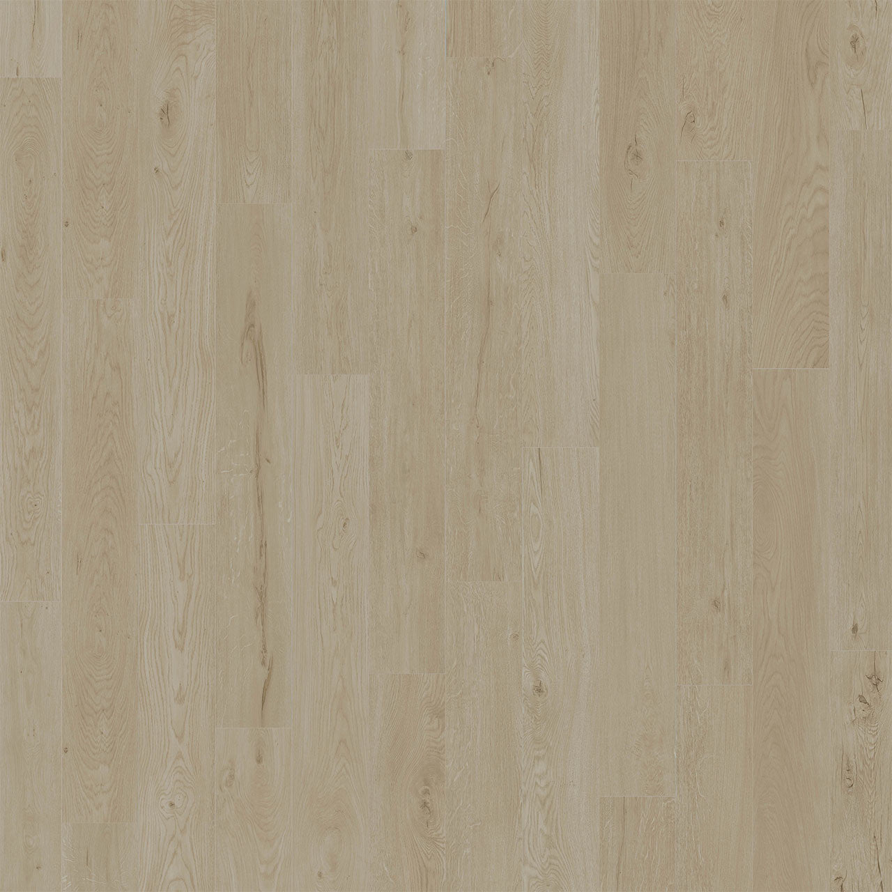 American Standard Collection