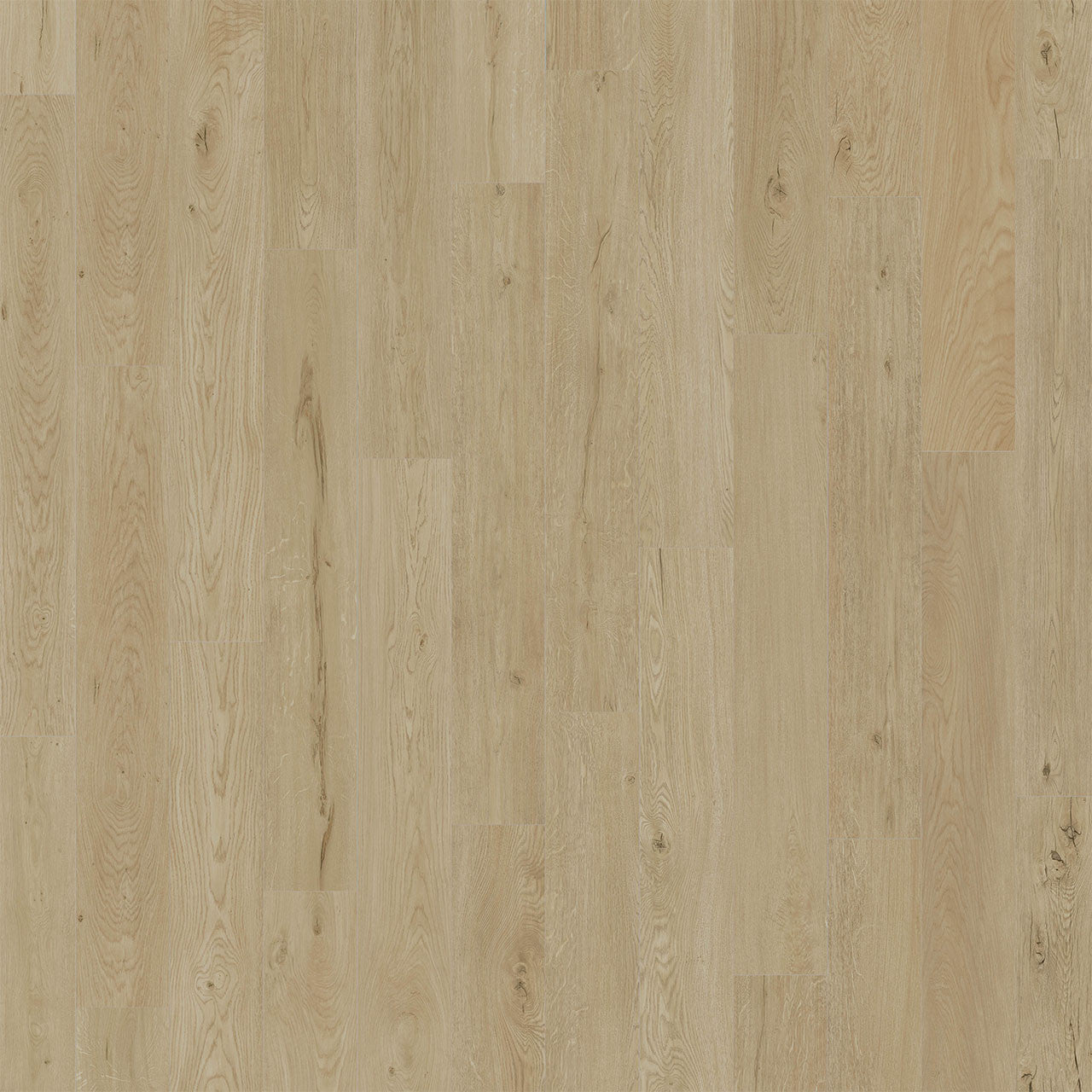 American Standard Collection