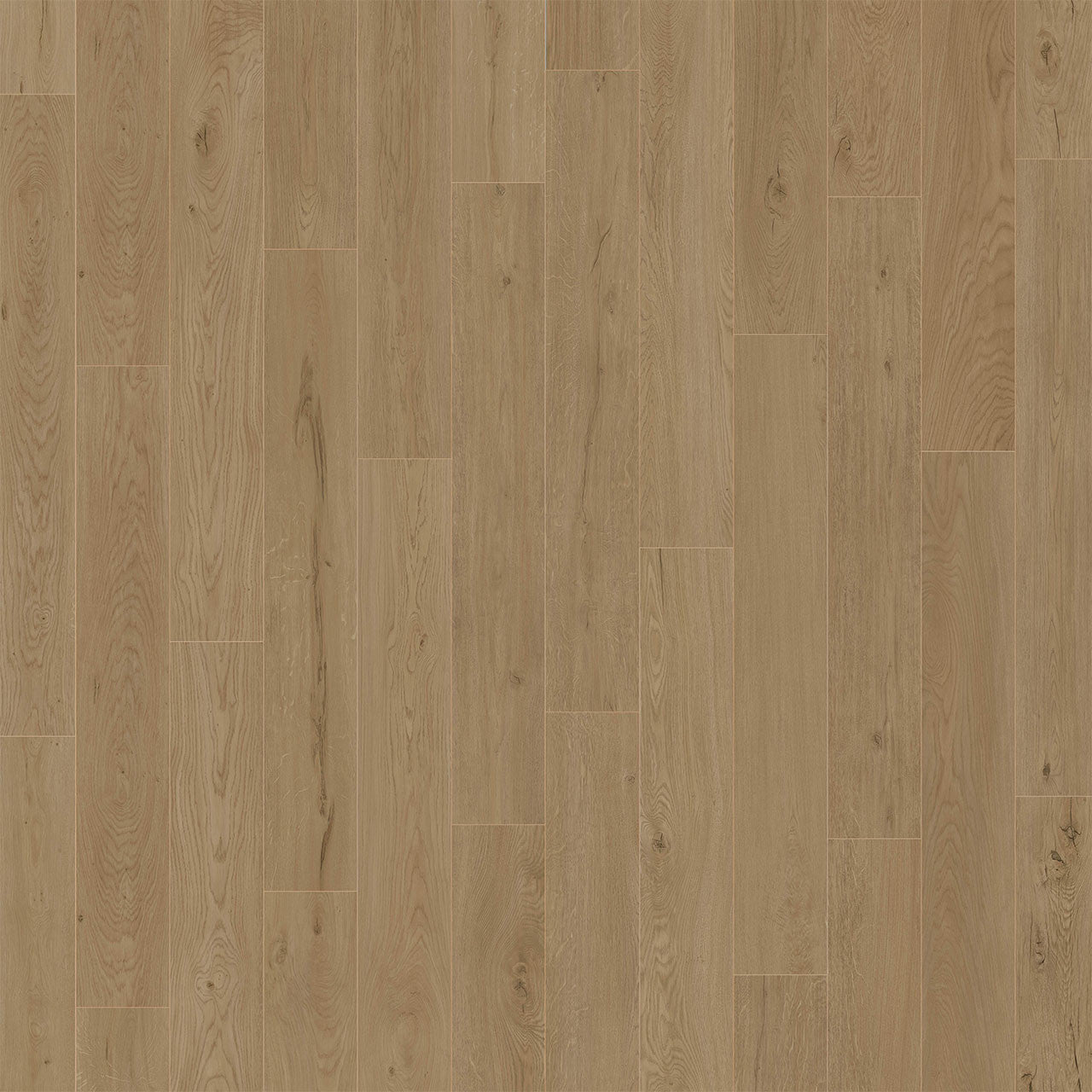 American Standard Collection