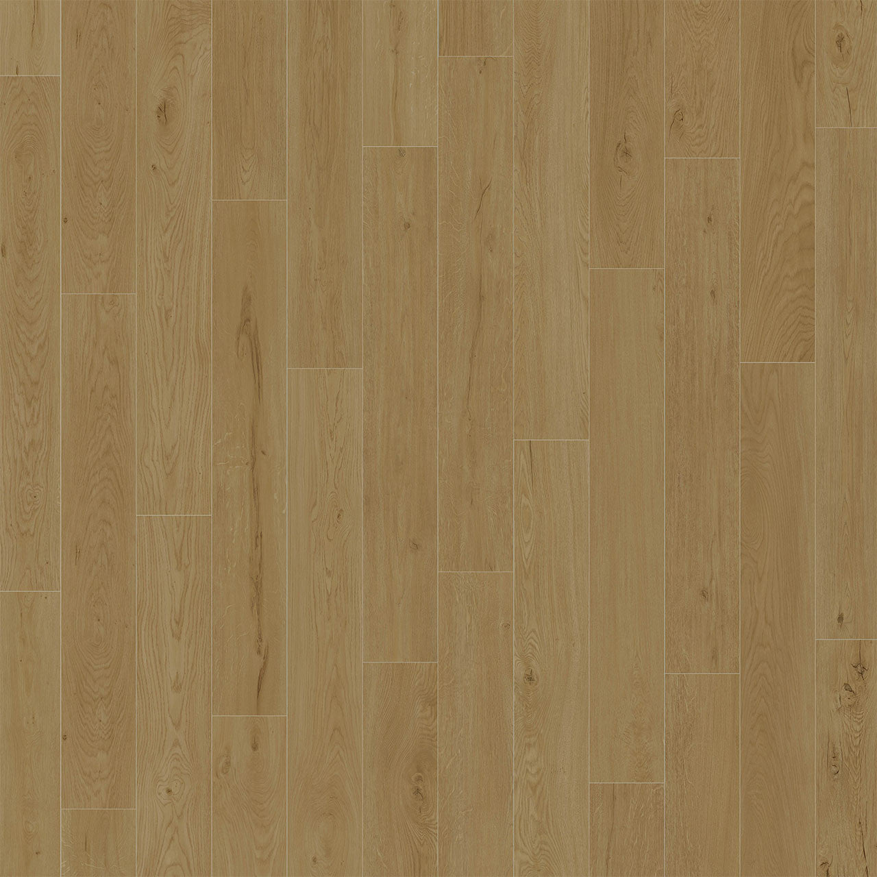 American Standard Collection