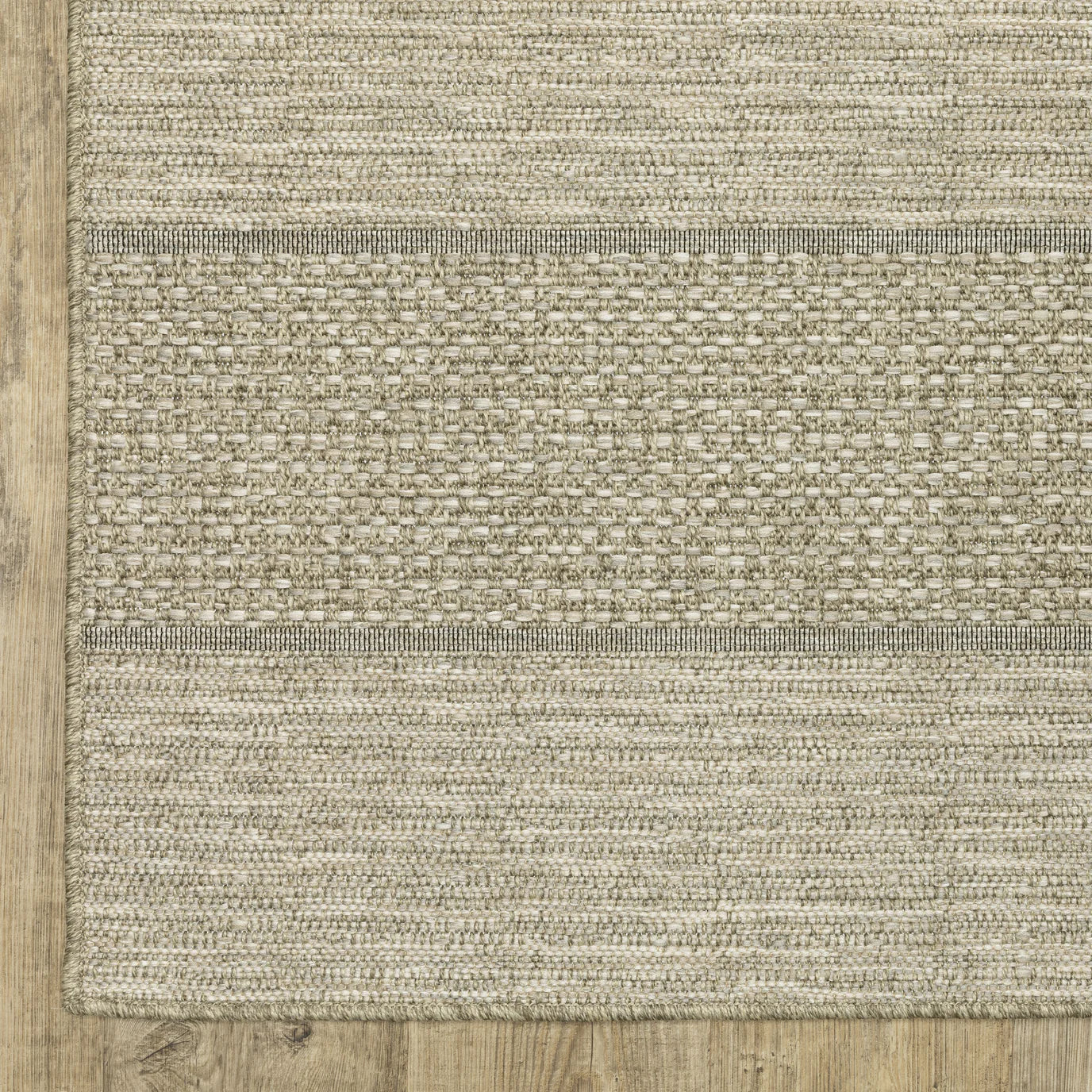 Tortuga TR01A